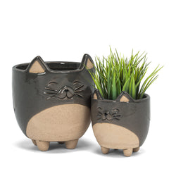 Small Cat on Legs Planter displayed on a coffee table