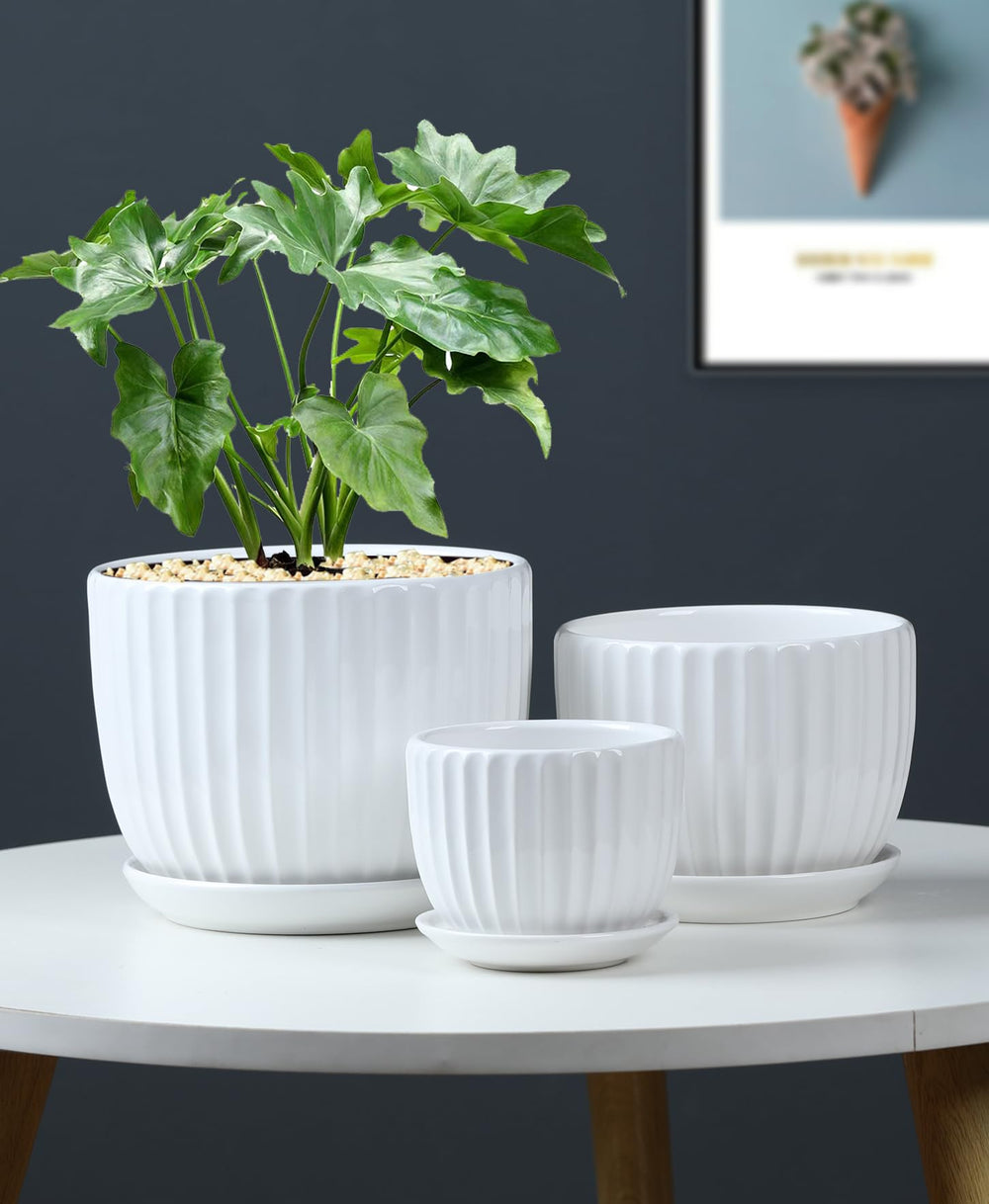 Small Ton Sin Ceramic Pot, 3.1 inches diameter