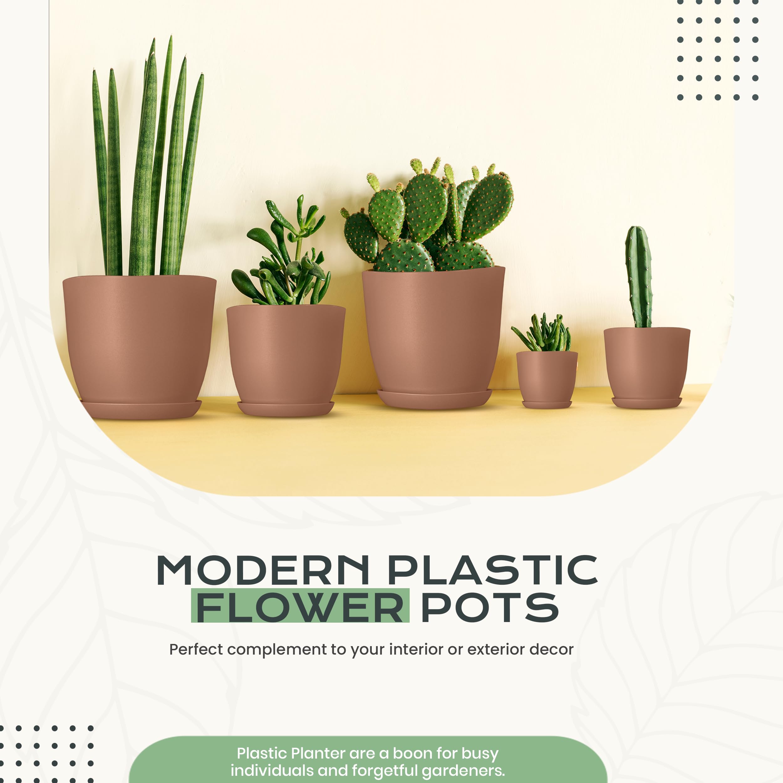 Small Utopia Home terracotta pot in indoor setting