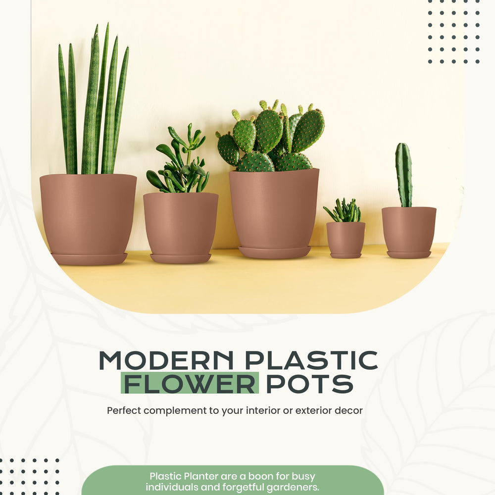 Small Utopia Home terracotta pot in indoor setting