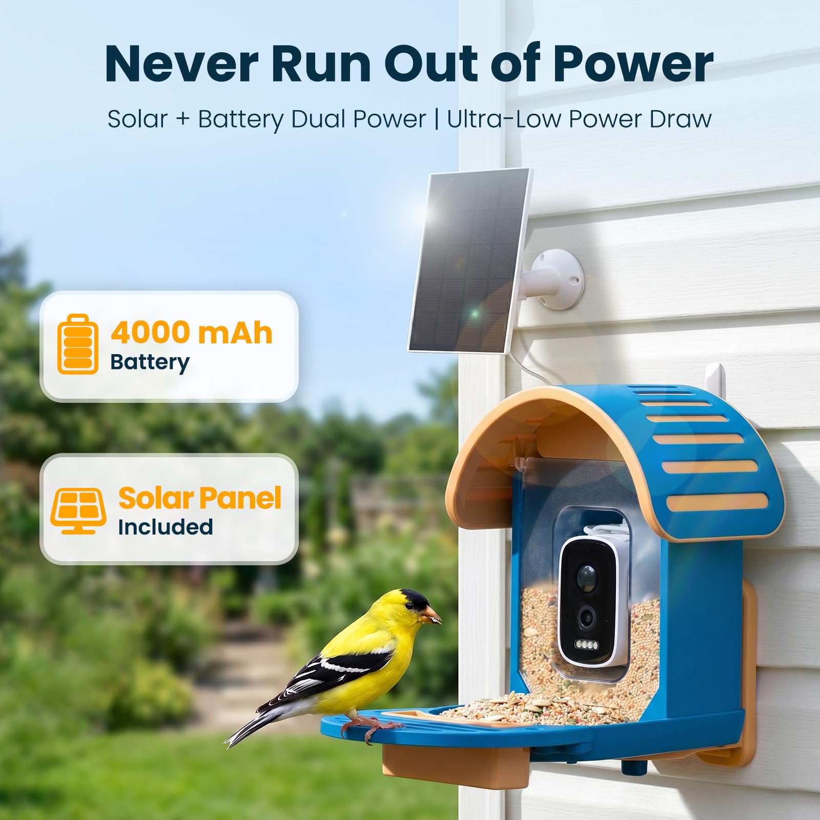 Smart Bird Feeder with Camera showing AI Bird ID feature