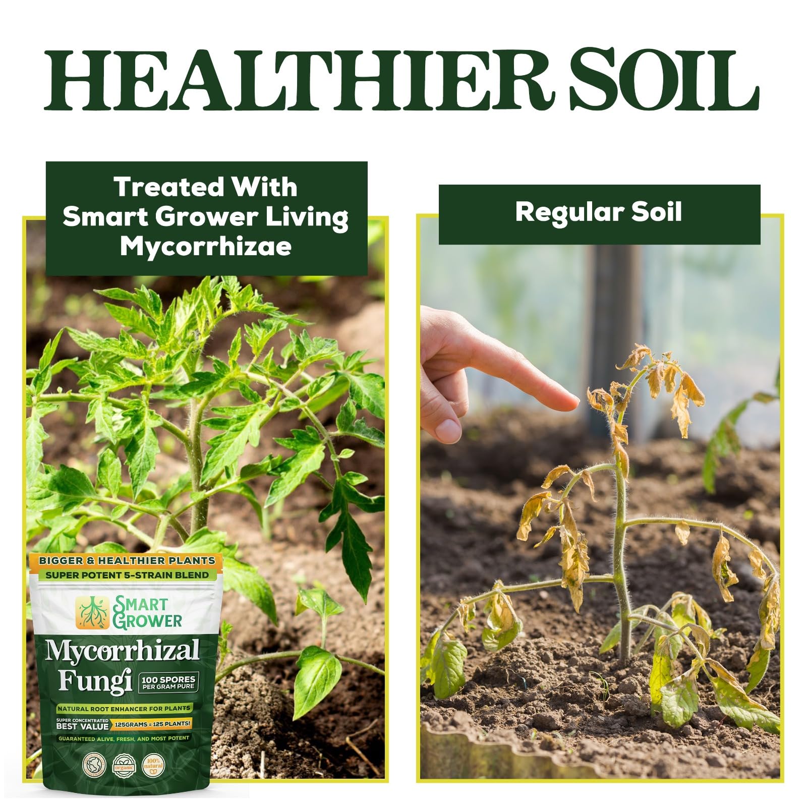 Smart Grower Mycorrhizal Fungi application process
