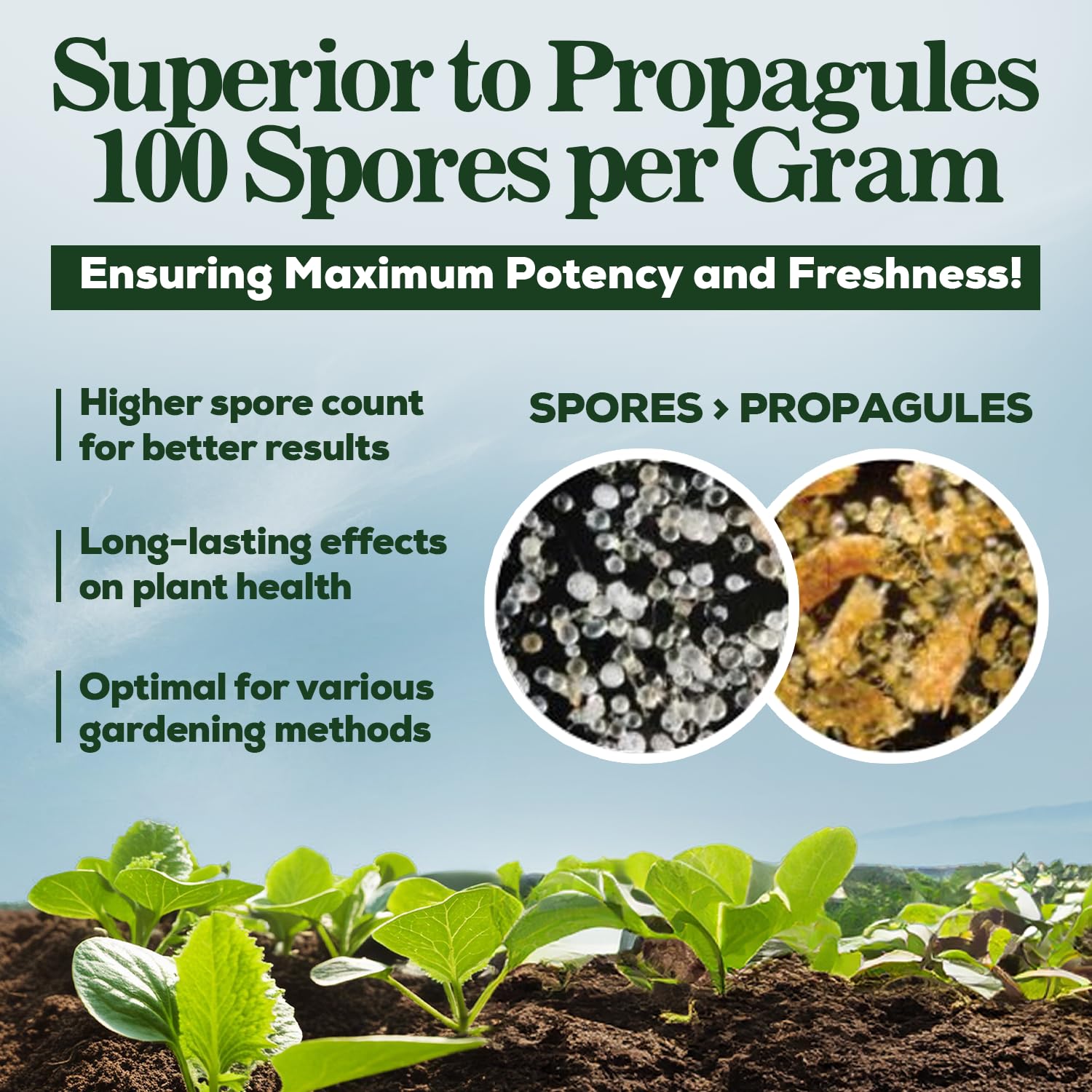 Smart Grower Mycorrhizal Fungi in garden setting