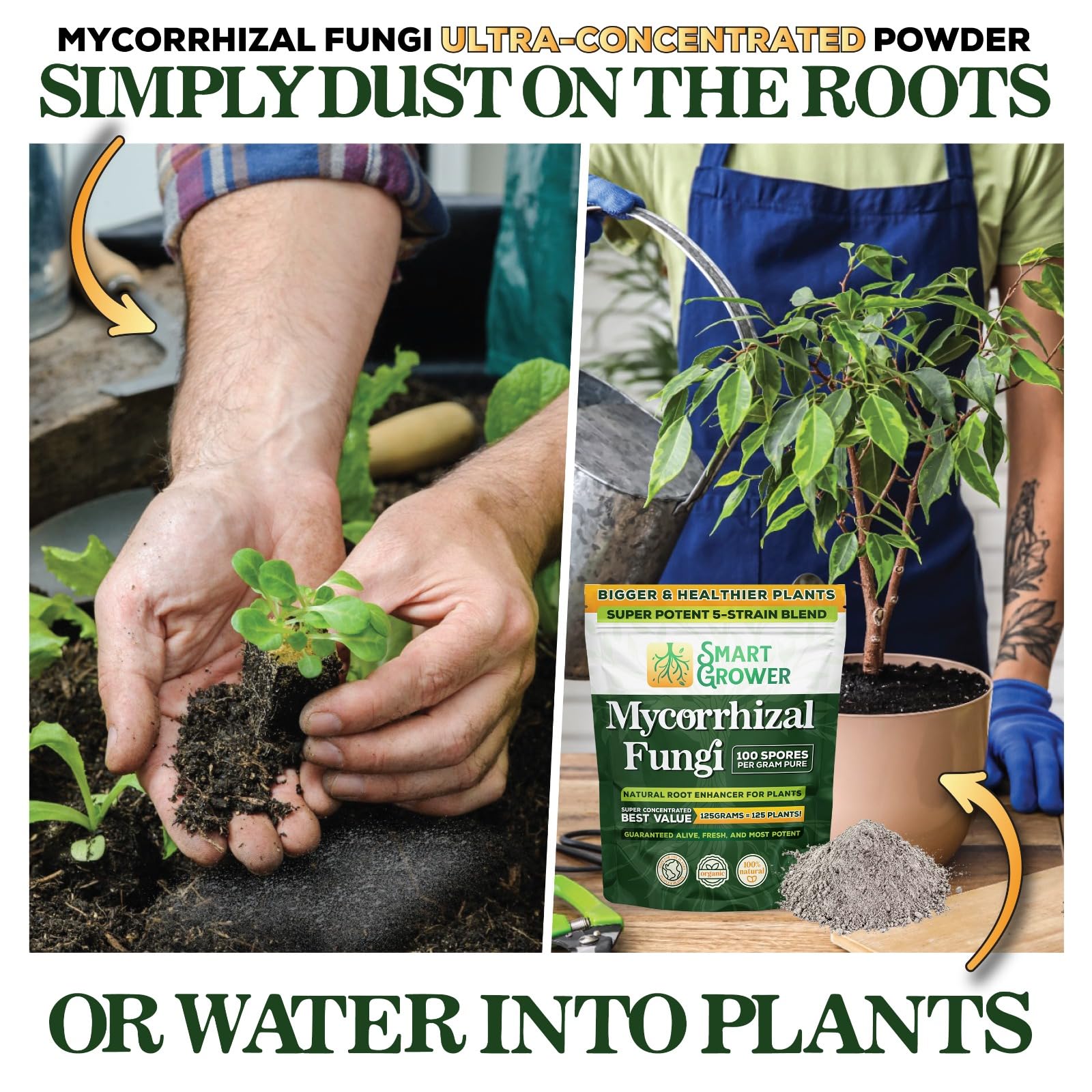 Smart Grower Mycorrhizal Fungi powder texture