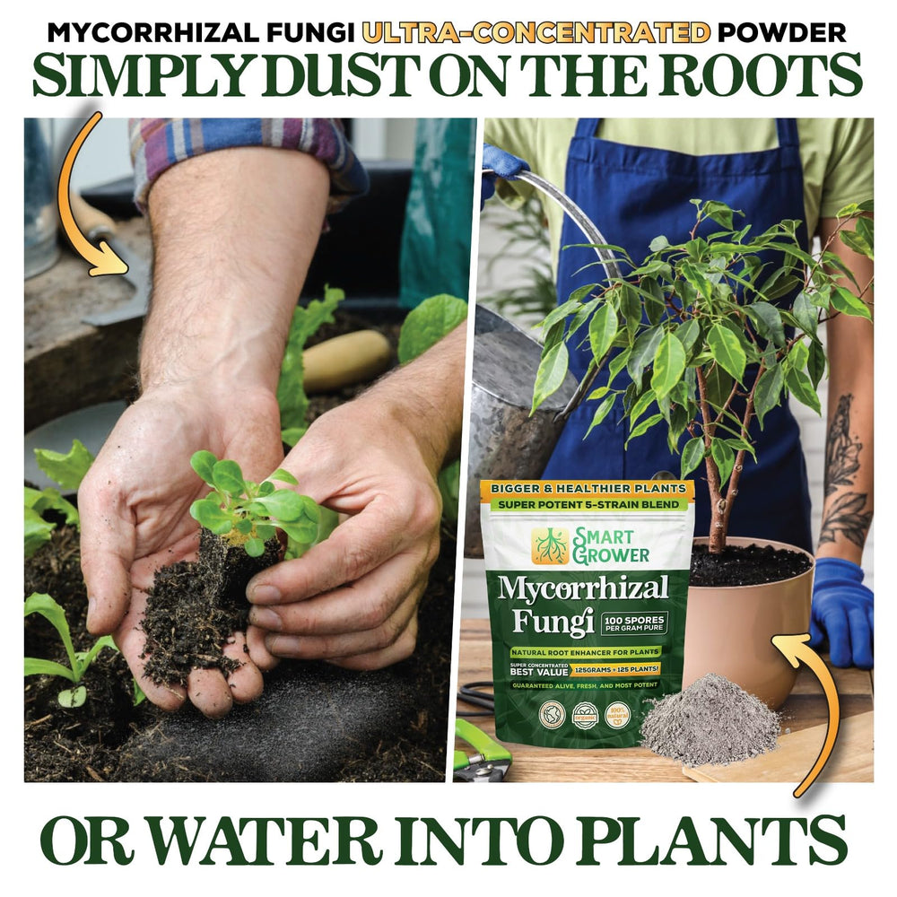 Smart Grower Mycorrhizal Fungi powder texture