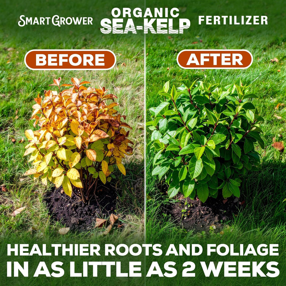 Smart Grower Sea-Kelp Fertilizer label and ingredients