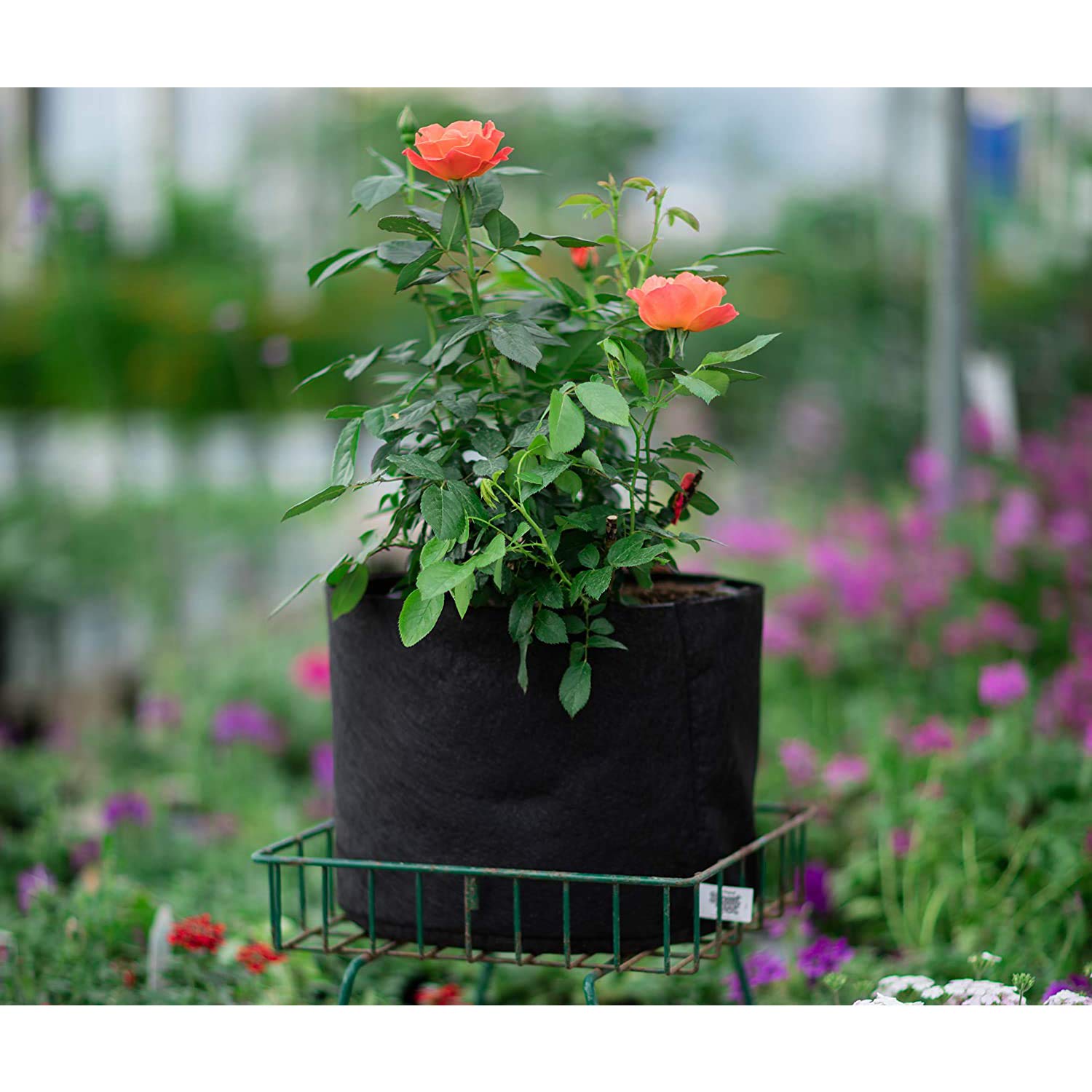 SMART POT 30-Gallon Black Grow Bag side view