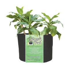 SMART POT 30-Gallon Grow Bag with plant stand