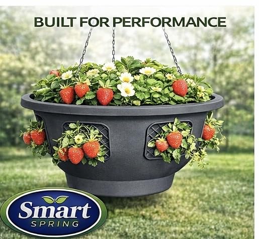 smart spring hanging basket showcasing side planting design