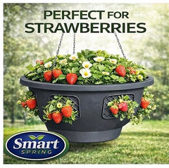 smart spring Ultimate Hanging Basket with strawberries planted