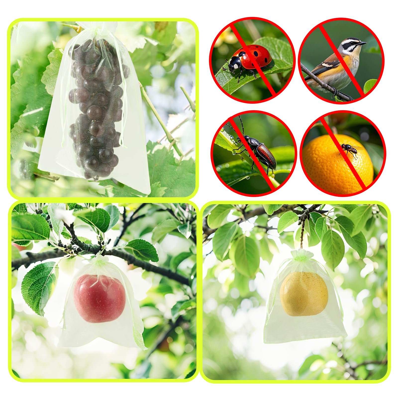 SmileLucky fruit protection bags in garden setting