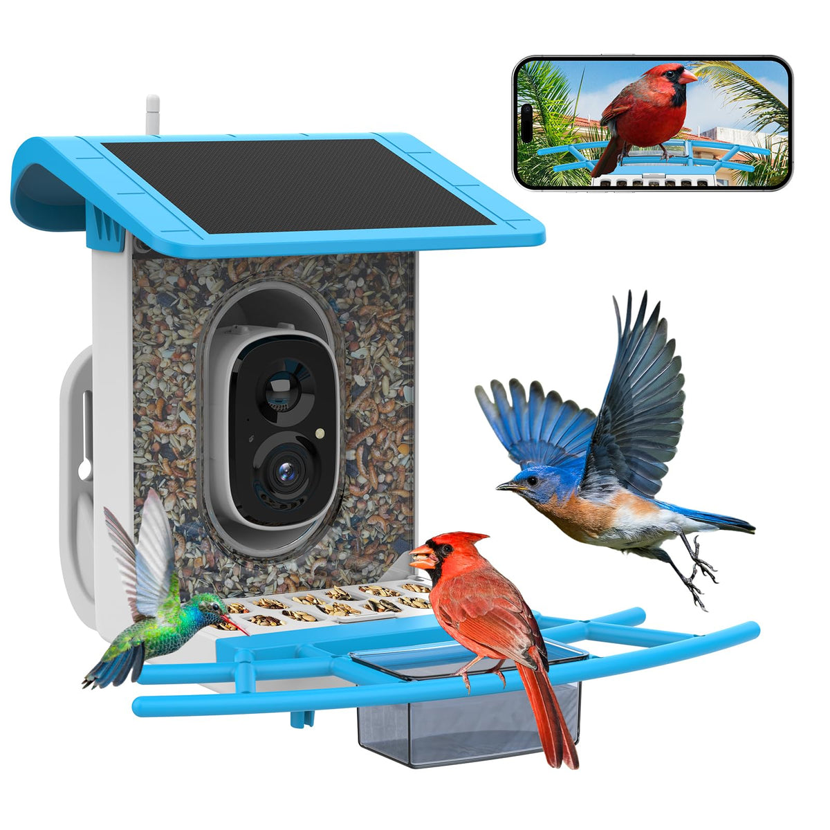 SMONET Bird Feeder B300 blue model front view with camera