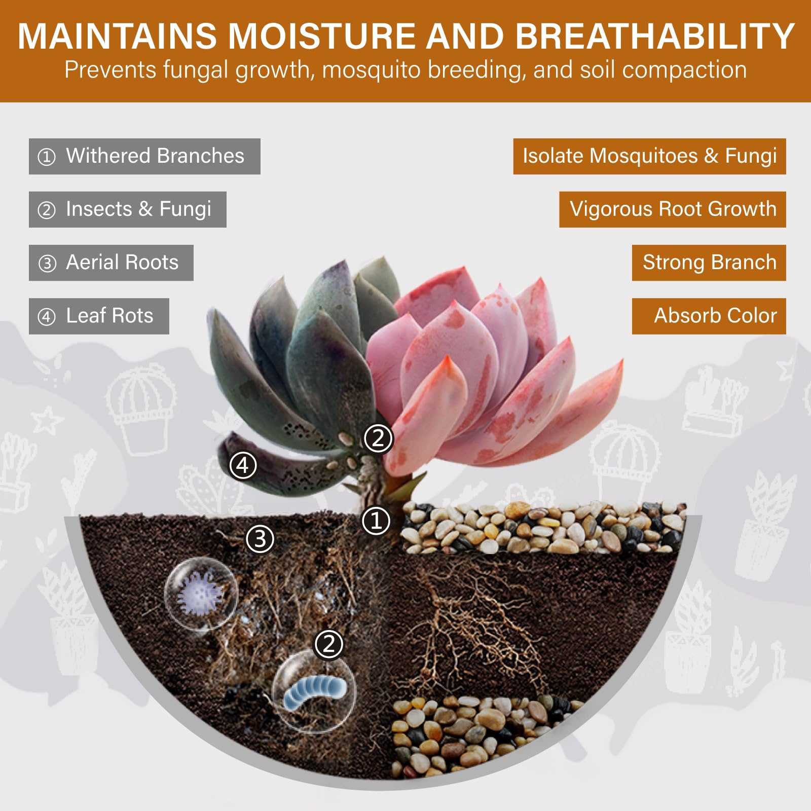 Smooth NUPICK pebbles for indoor plants, close-up
