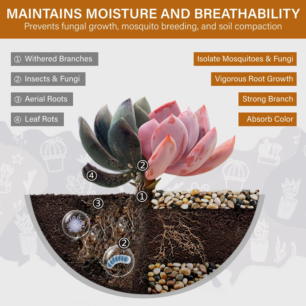 Smooth NUPICK pebbles for indoor plants, close-up