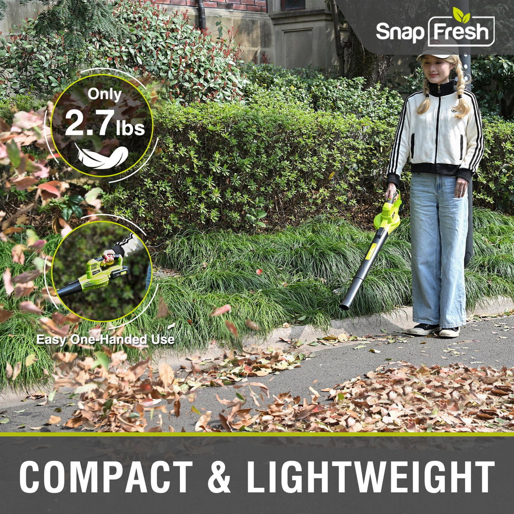 SnapFresh Leaf Blower battery and charger