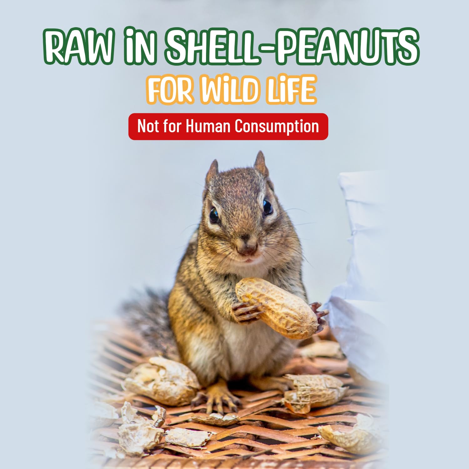 Sneaky Mango Raw Peanuts with natural background