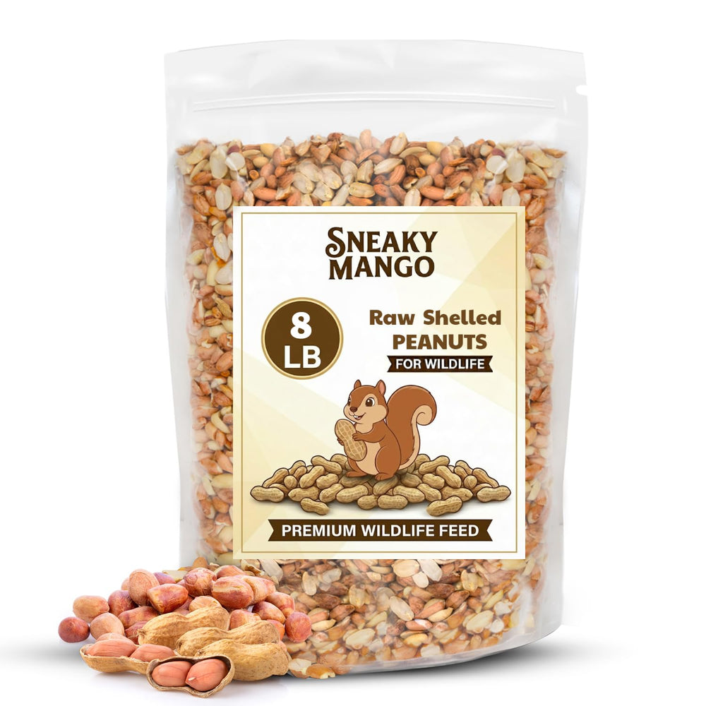 Sneaky Mango Raw Shelled Peanuts 8 Pound bulk bag front view