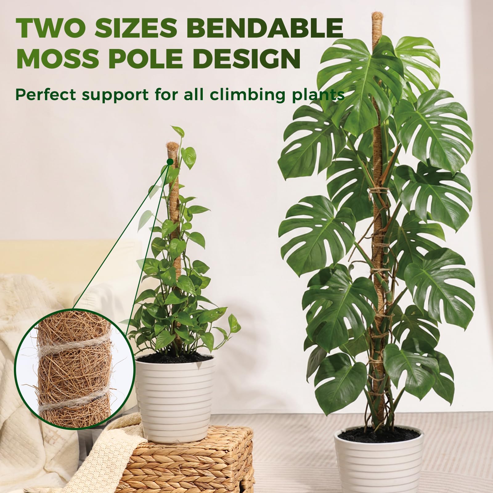 Snuvid 28-inch moss pole in a potted plant arrangement