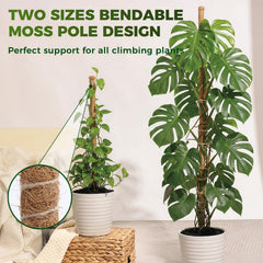 Snuvid 28-inch moss pole in a potted plant arrangement