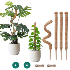 Snuvid 28-inch moss pole plant support front view