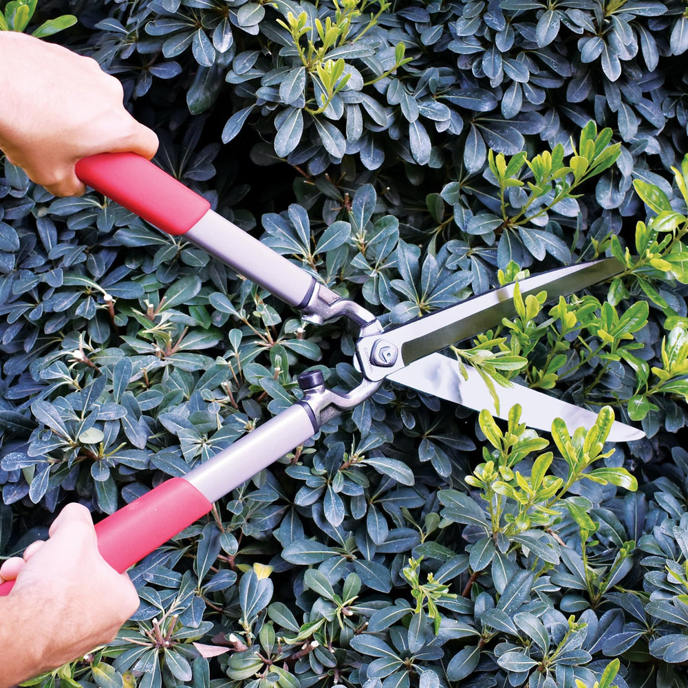 Soft grip handle of Corona Clipper hedge shears showing comfort design