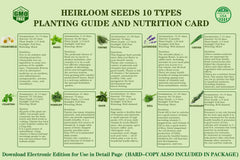 Soil discs included in Meekear herb starter kit