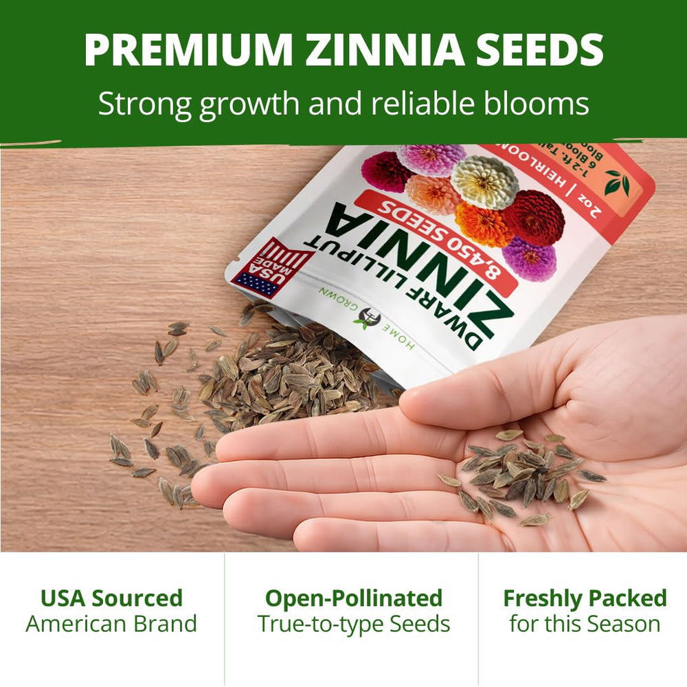 Soil preparation for planting Lilliput Zinnias