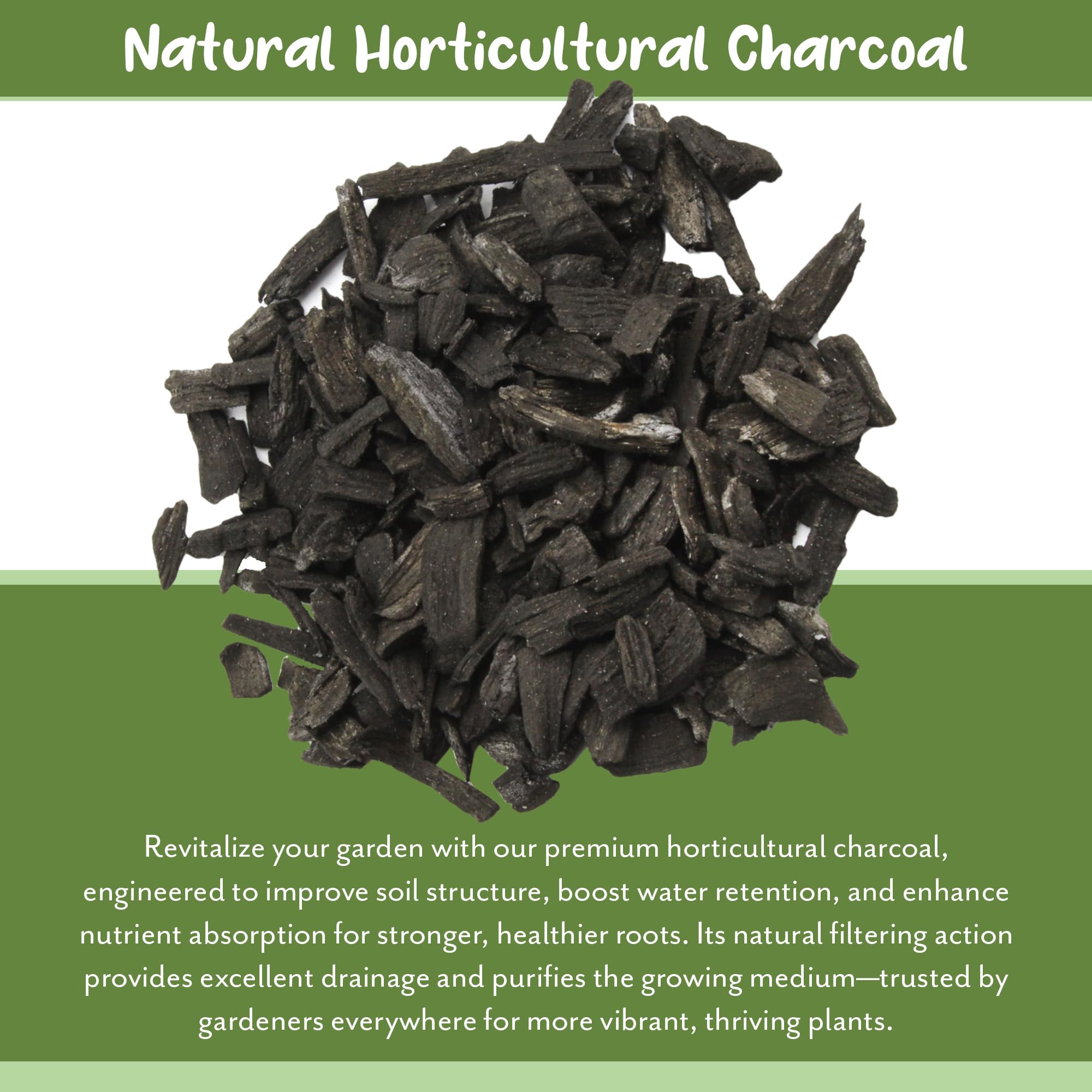 Soil Sunrise Horticultural Charcoal in a 10-inch pot