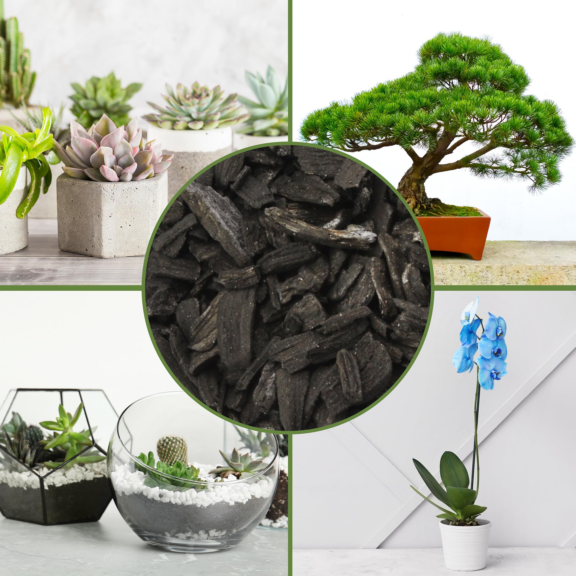 Soil Sunrise Horticultural Charcoal with gardening tools