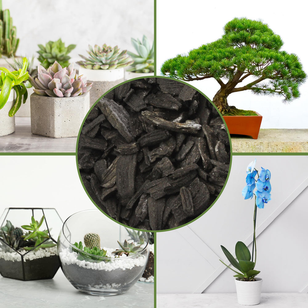 Soil Sunrise Horticultural Charcoal with gardening tools