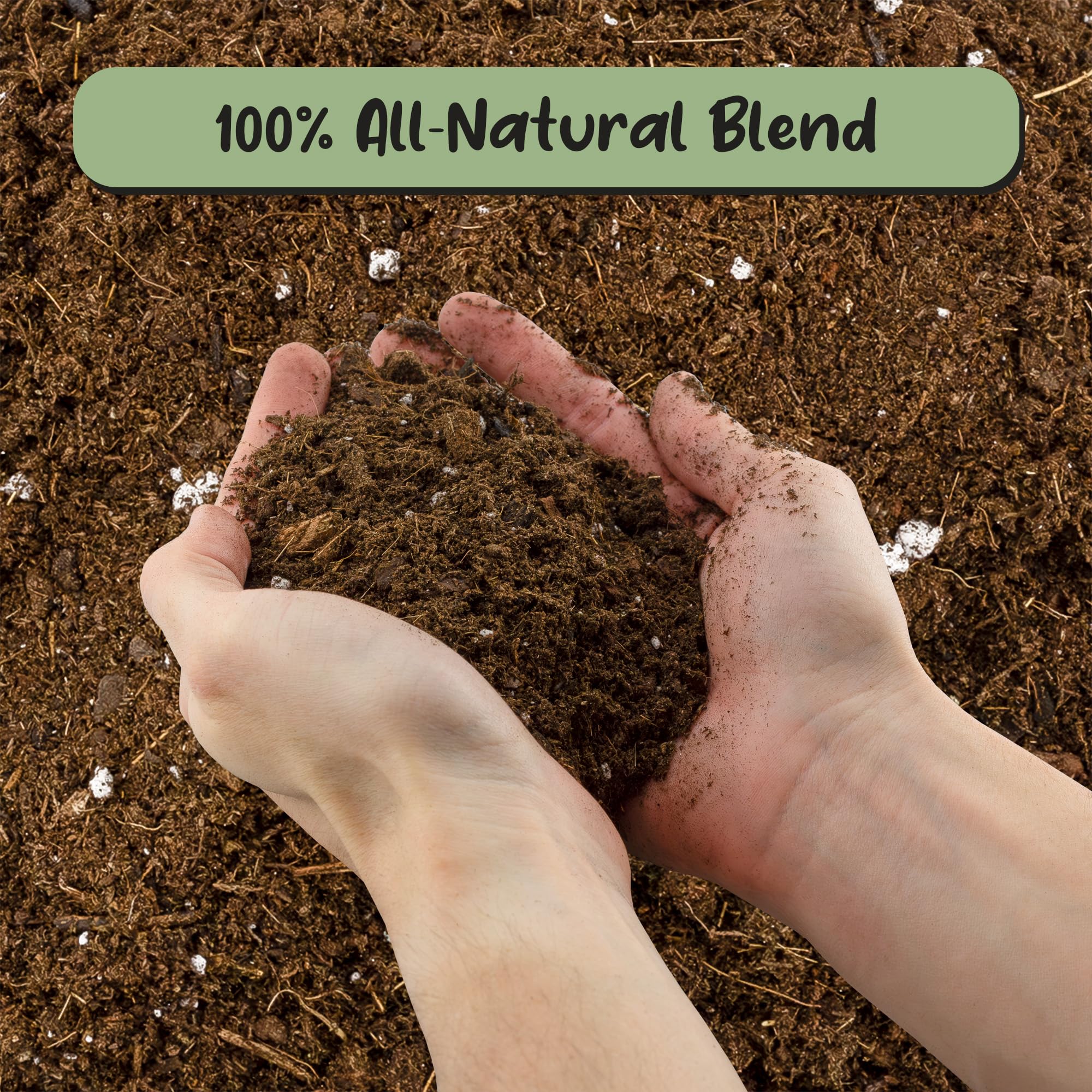 Soil Sunrise Monstera Potting Soil Mix 12 Quarts ideal for repotting