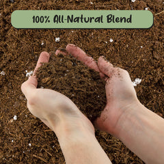Soil Sunrise Monstera Potting Soil Mix 12 Quarts ideal for repotting