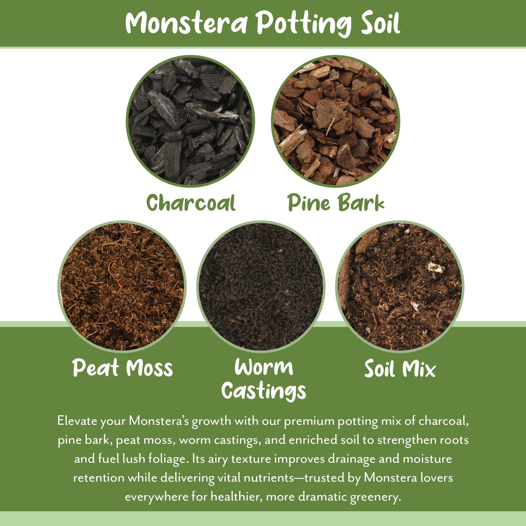 Soil Sunrise Monstera Potting Soil Mix used in indoor plant container
