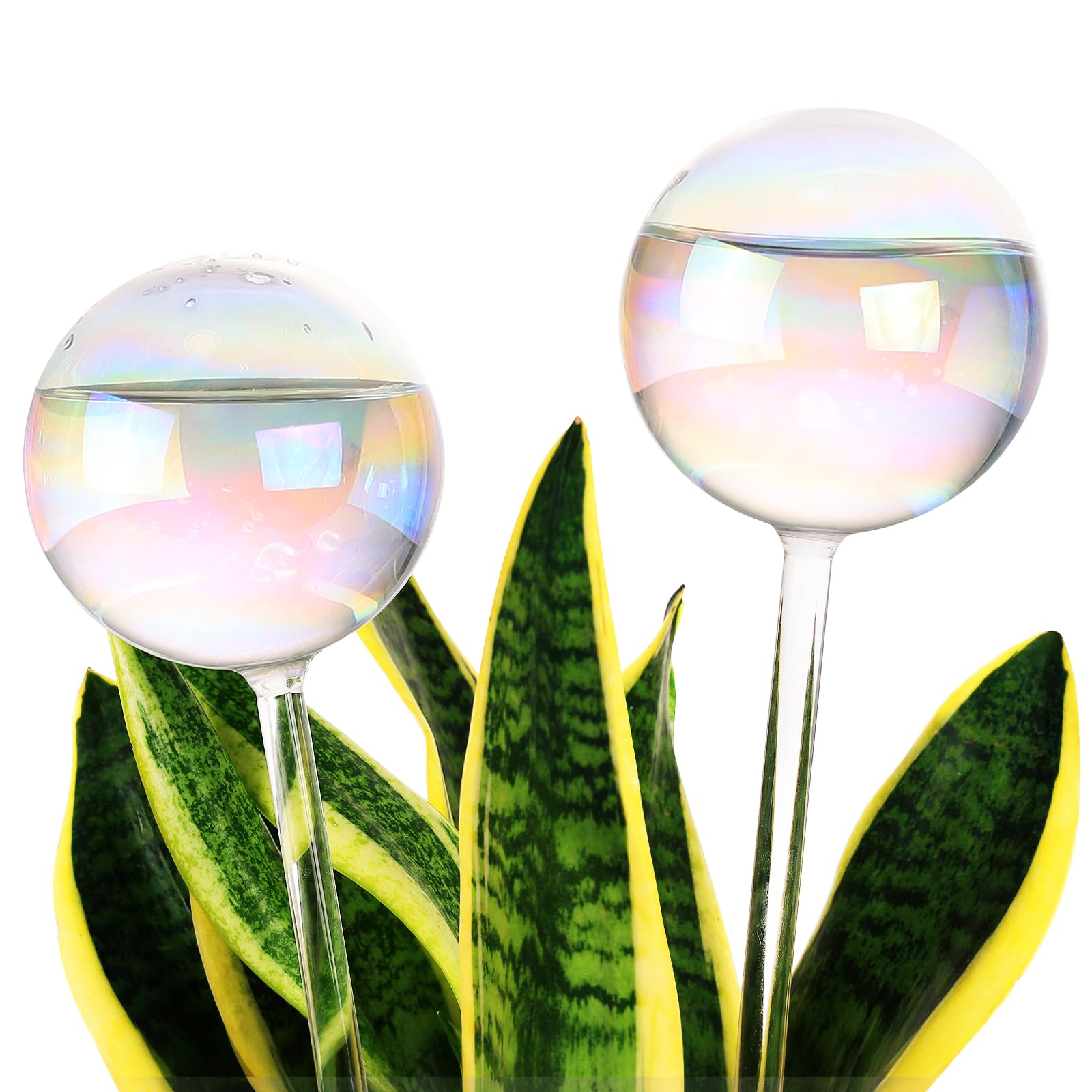 Soilagua 13 oz iridescent self-watering globe front view