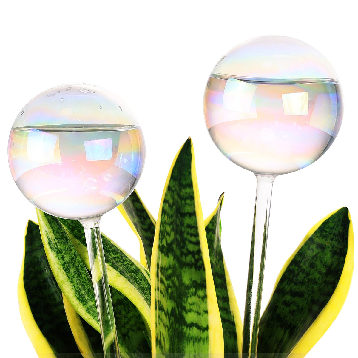 Soilagua 13 oz iridescent self-watering globe front view