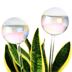 Soilagua 13 oz iridescent self-watering globe front view
