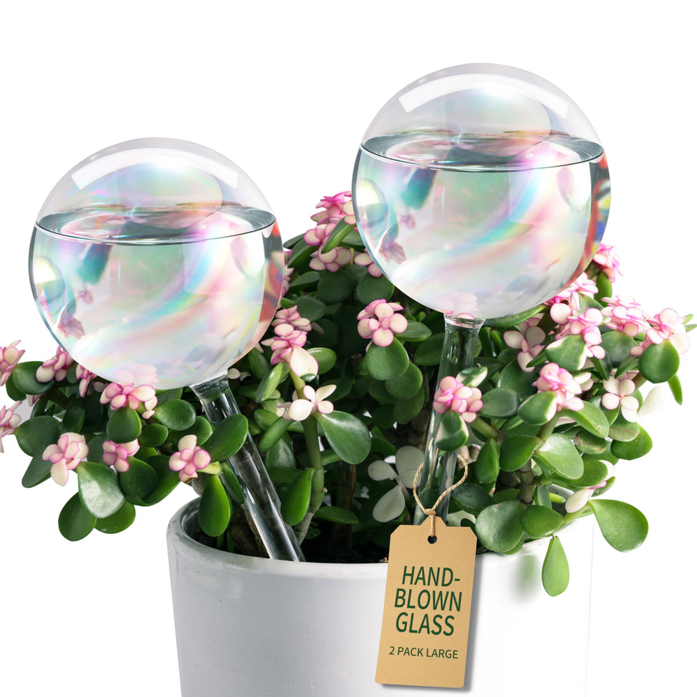 Soilagua Large Rainbow Plant Watering Globe front view, iridescent finish