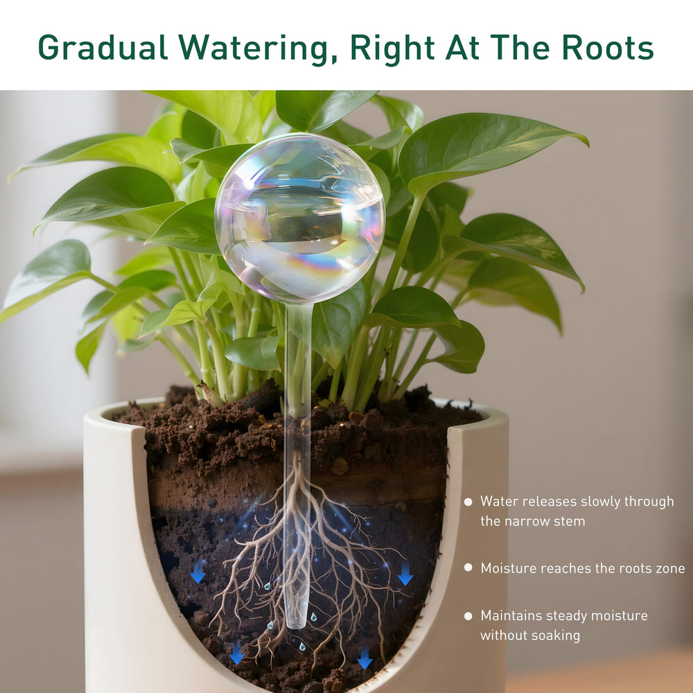 Soilagua Large Rainbow Plant Watering Globe package dimensions