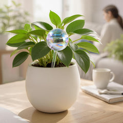 Soilagua Large Rainbow Plant Watering Globe side view, showing narrow opening