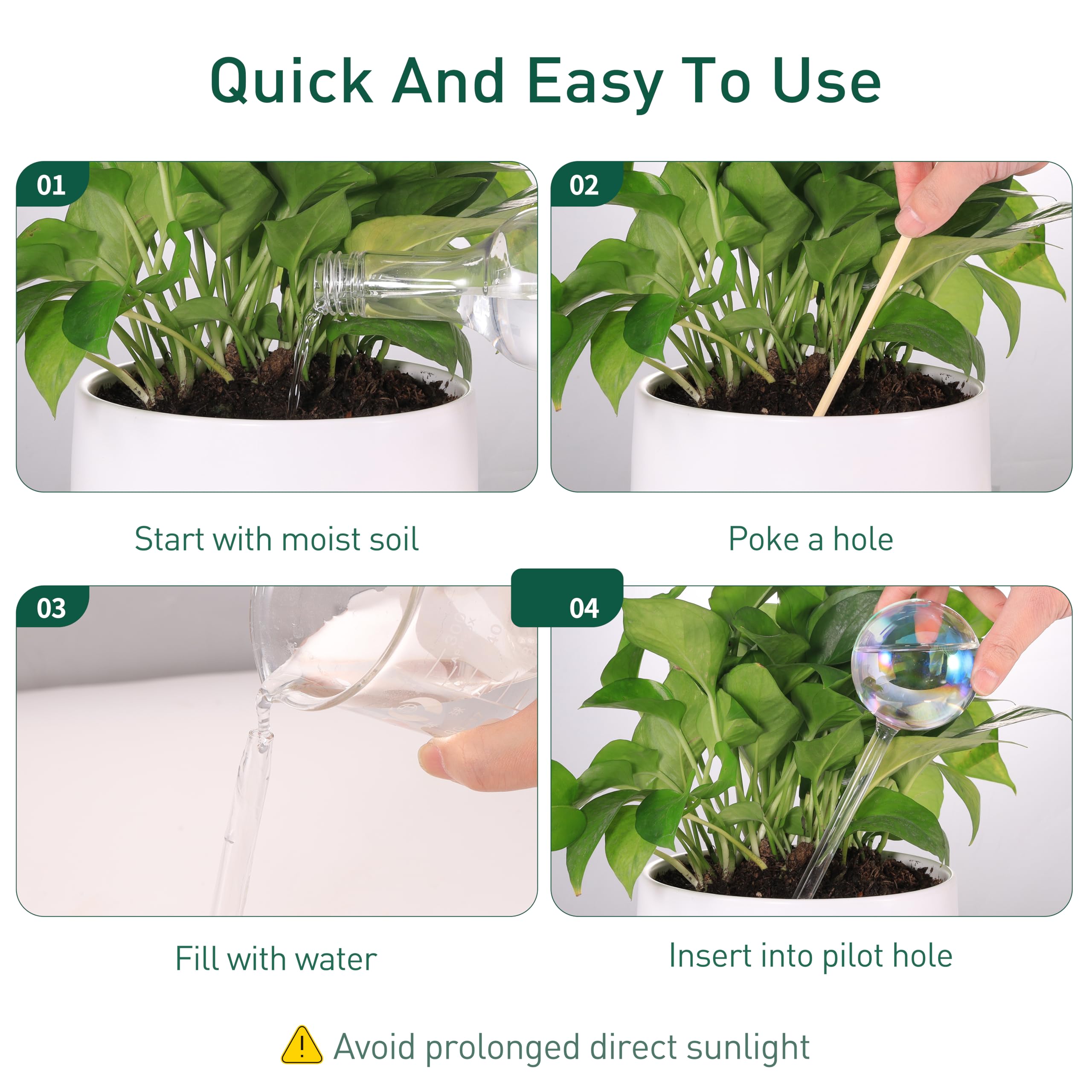 Soilagua Large Rainbow Plant Watering Globe with sunlight reflection