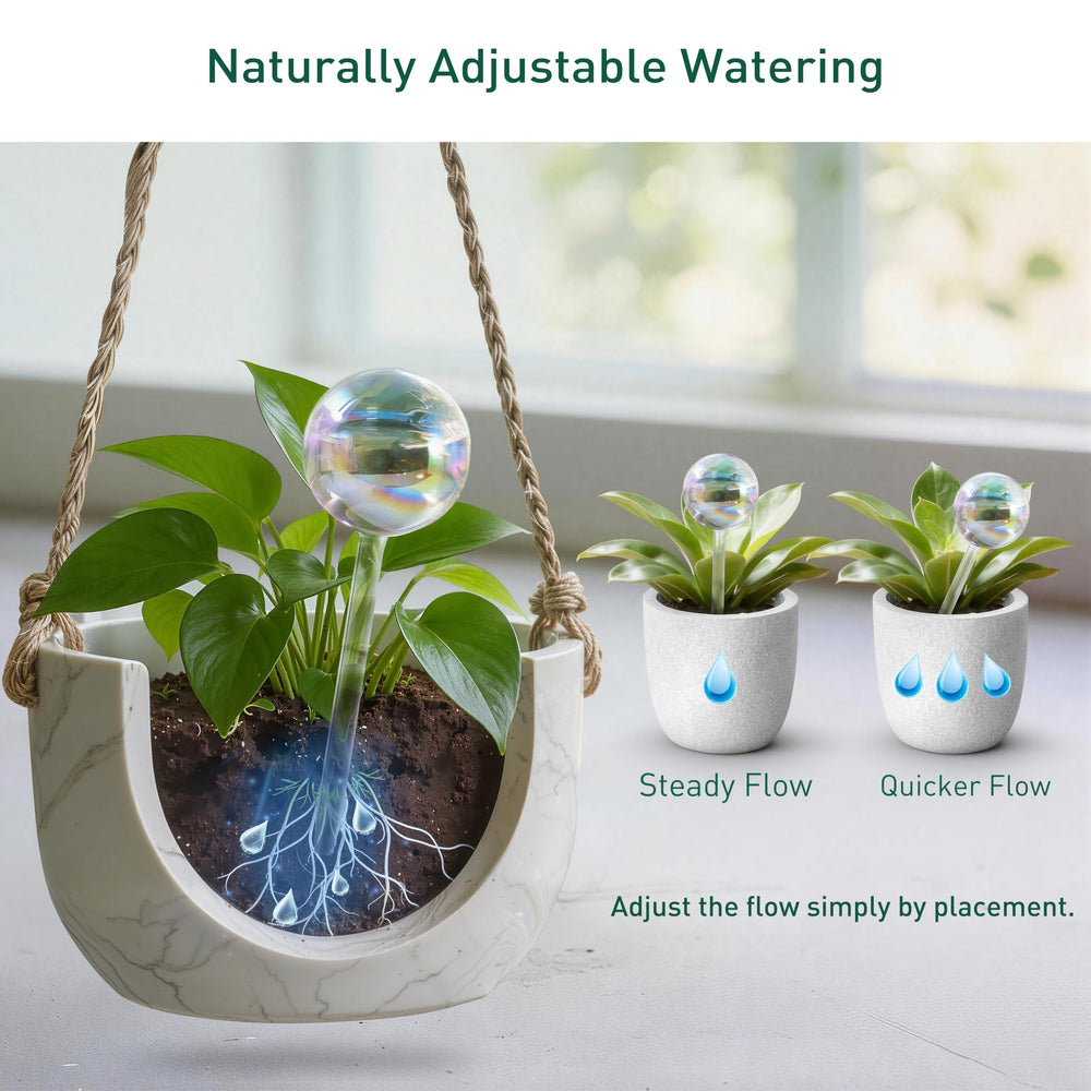 Soilagua Large Rainbow Plant Watering Globes in use with houseplants
