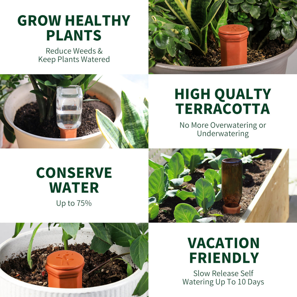 Soilagua Large Terracotta Watering Spikes displayed with potted plants