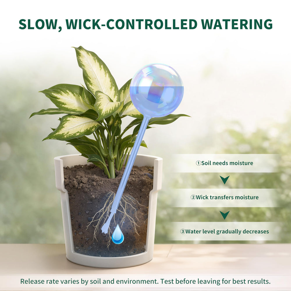 Soilagua self-watering globe being filled with water