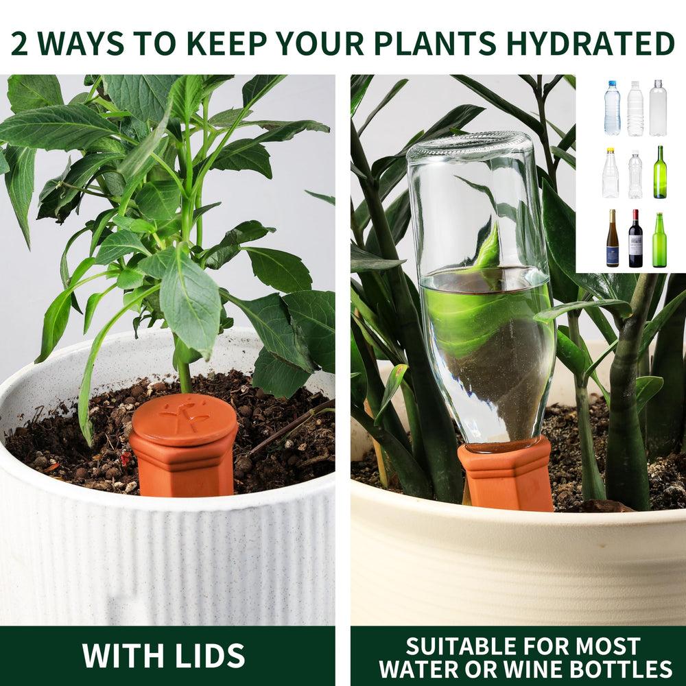 Soilagua watering spikes in use with bottle attachment