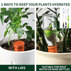 Soilagua watering spikes in use with bottle attachment