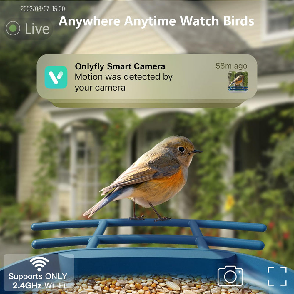 solar panels of the onlyfly Smart Bird Feeder