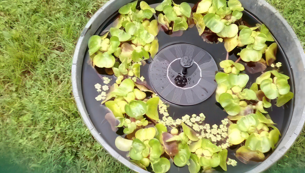 Solatec Solar Fountain Pump floating on a pond