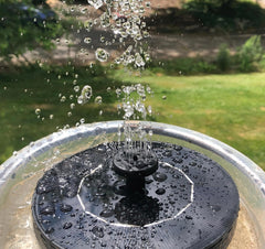 Solatec Solar Fountain Pump in a bird bath
