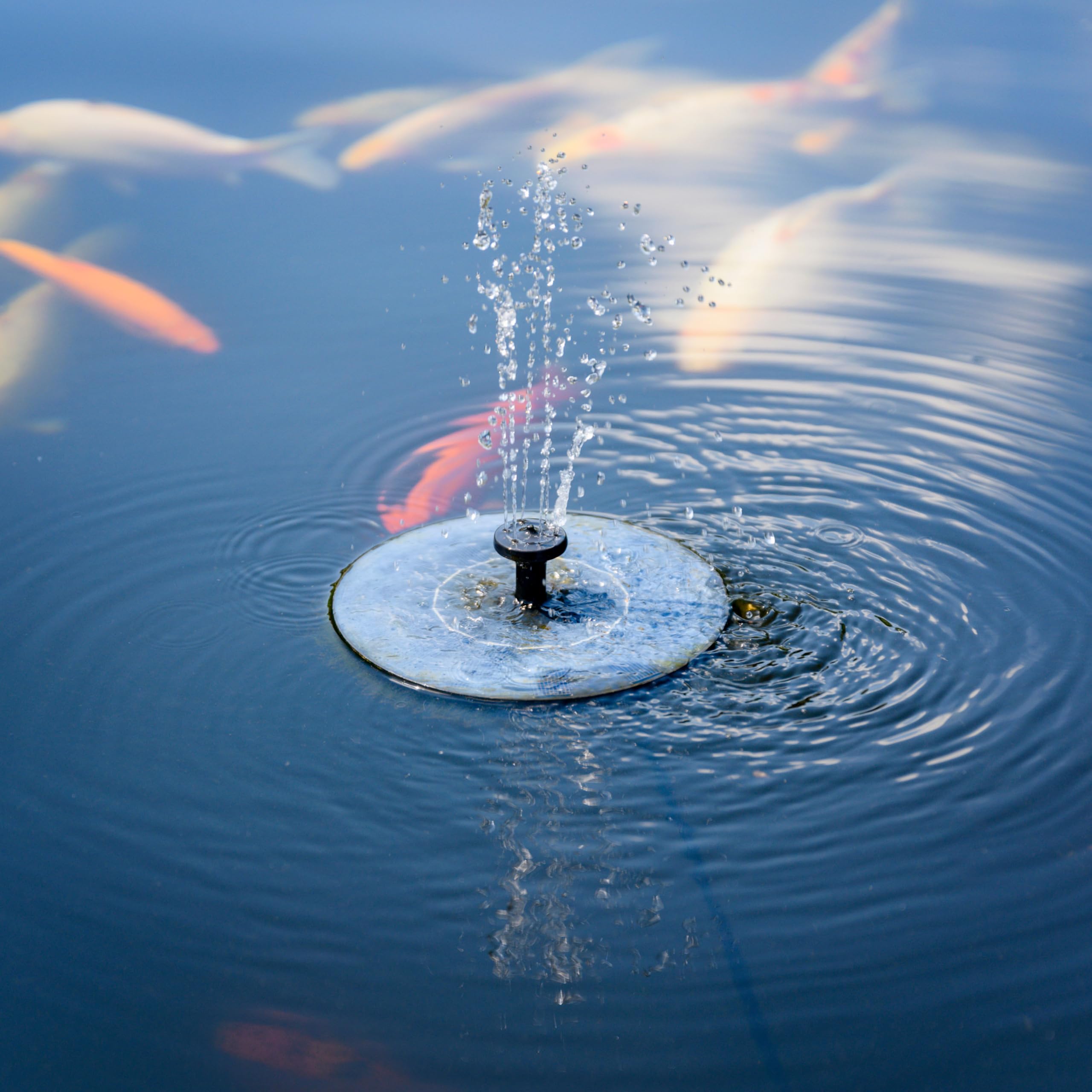 Solatec Solar Fountain Pump showing water spray height