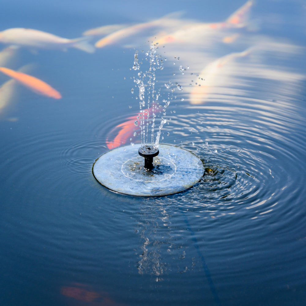 Solatec Solar Fountain Pump showing water spray height